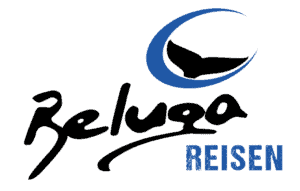 Beluga Reisen