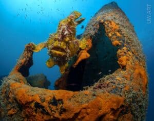 Divesites, Tauchkurse, Dive Courses