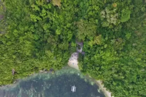 Aerial view of a secluded beach surrounded by dense green forest on Danjugan Island. A small boat is anchored in the clear water near the shore. The beach is mostly hidden by the thick canopy of trees, portraying a tranquil and untouched natural setting perfect for Island Tours.