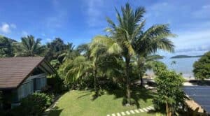 A tropical beachfront scene featuring palm trees and a landscaped yard with a stone path leads to the Amila Dive Beach Resort, a wooden building with a slanted roof on the left. The ocean is visible in the background under a bright blue sky with a few clouds.