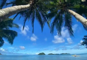 A tropical beach scene at Amila Dive Beach Resort features clear blue skies with scattered clouds. Palm trees arch over calm, turquoise waters. In the distance, small, lush islands dot the horizon.