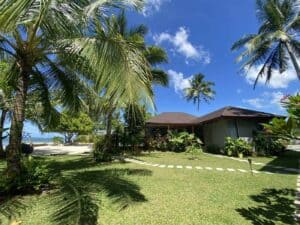 A tropical beachfront scene at Amila Dive Beach Resort showcases a house surrounded by lush greenery, palm trees, and a neatly maintained lawn. The clear blue sky and ocean are visible in the background under the bright sun, creating a serene and picturesque setting.