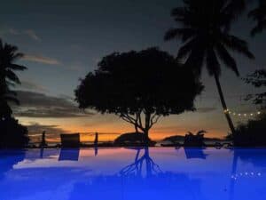 A serene evening view of the infinity pool at Amila Dive Beach Resort with a glowing blue pool in the foreground. Silhouetted trees, including a prominent central tree and palm trees on the sides, frame the colorful sunset sky with shades of orange, pink, and purple in the background.