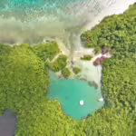 Aerial view of Danjugan Island's turquoise lagoon