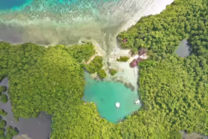 Aerial view of Danjugan Island's turquoise lagoon