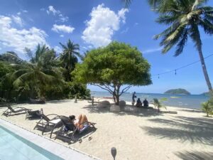 A Tropical Beach Scene With People Relaxing On Lounge Chairs Under Palm Trees And A Large Leafy Tree. The Shoreline And Ocean Are Visible In The Background Under A Clear Blue Sky With Some Clouds.