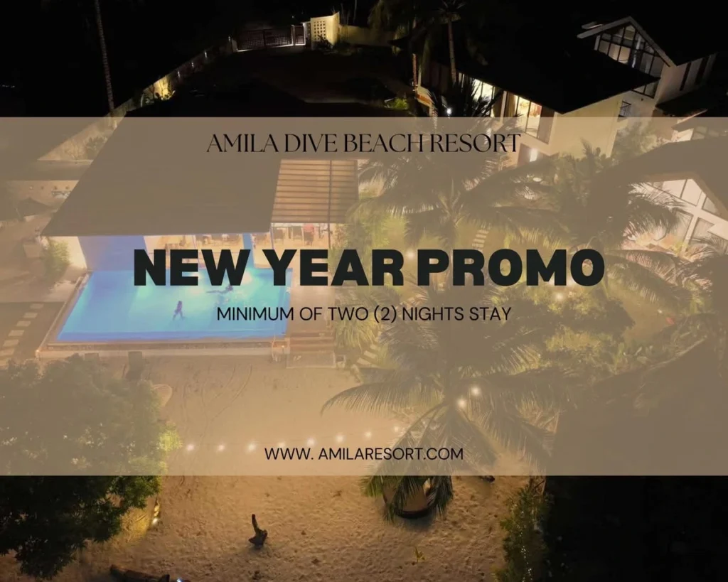 Night Aerial View Of Amila Dive Beach Resort In 2025 With A Lit Up Pool And Surrounding Palm Trees. Text Overlay: "new Year Promo Minimum Of Two (2) Nights Stay. Www.amilaresort.com.