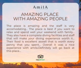 Thank you for the lovely review, Ann Eliza. We cant wait to welcome you back again ❤️https://www.tripadvisor.com/Hotel_Review-g1214177-d23118139-Reviews-Amila_Dive_Beach_Resort-Cauayan_Negros_Occidental_Negros_Island_Visayas.html#REVIEWS#amilastay #NegrosOccidental #tauch #scuba #tauchen #reisen